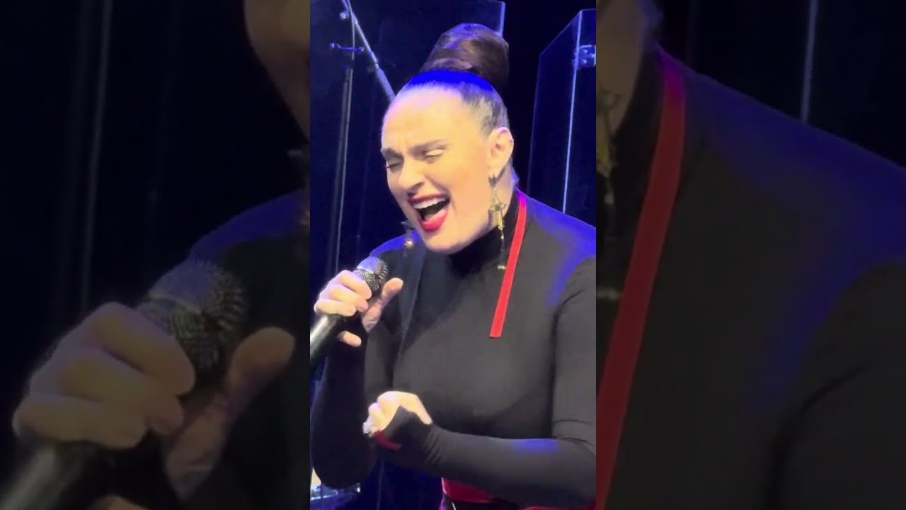 Елена Ваенга. Там,за туманами. Колпино, 29 ноября 2024.