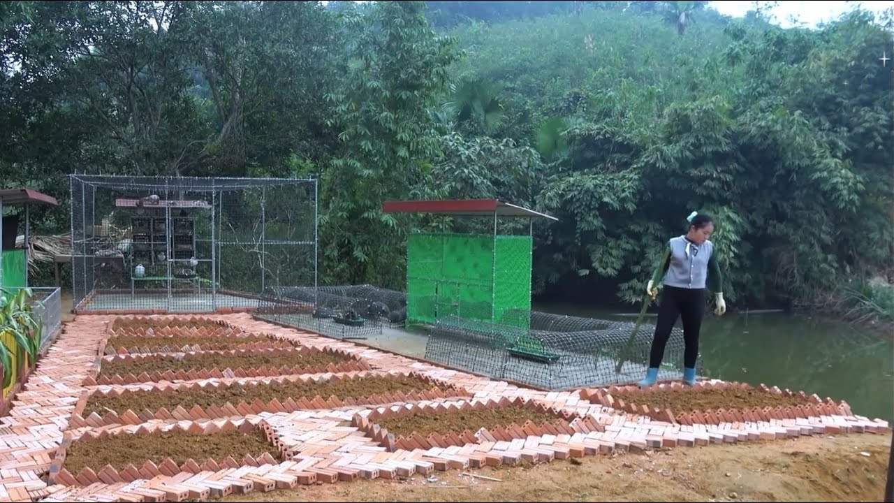 建造完美雞舍，開辟美麗菜園，讓家中的農場生活盡情綻放！ #农村生活 #乡村建造 #农家美食 #农场日常 #乡村致富