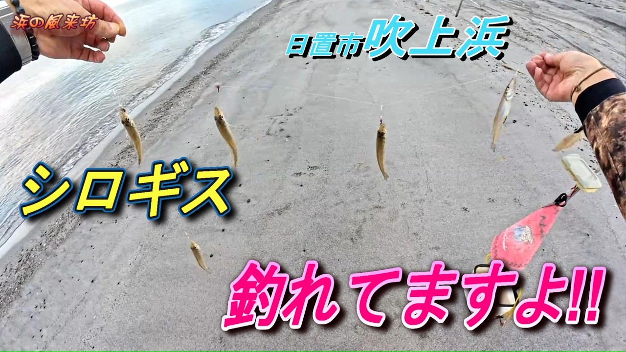 吹上浜での【キス釣り】2026年2月22日　調子が上向いて来ています。