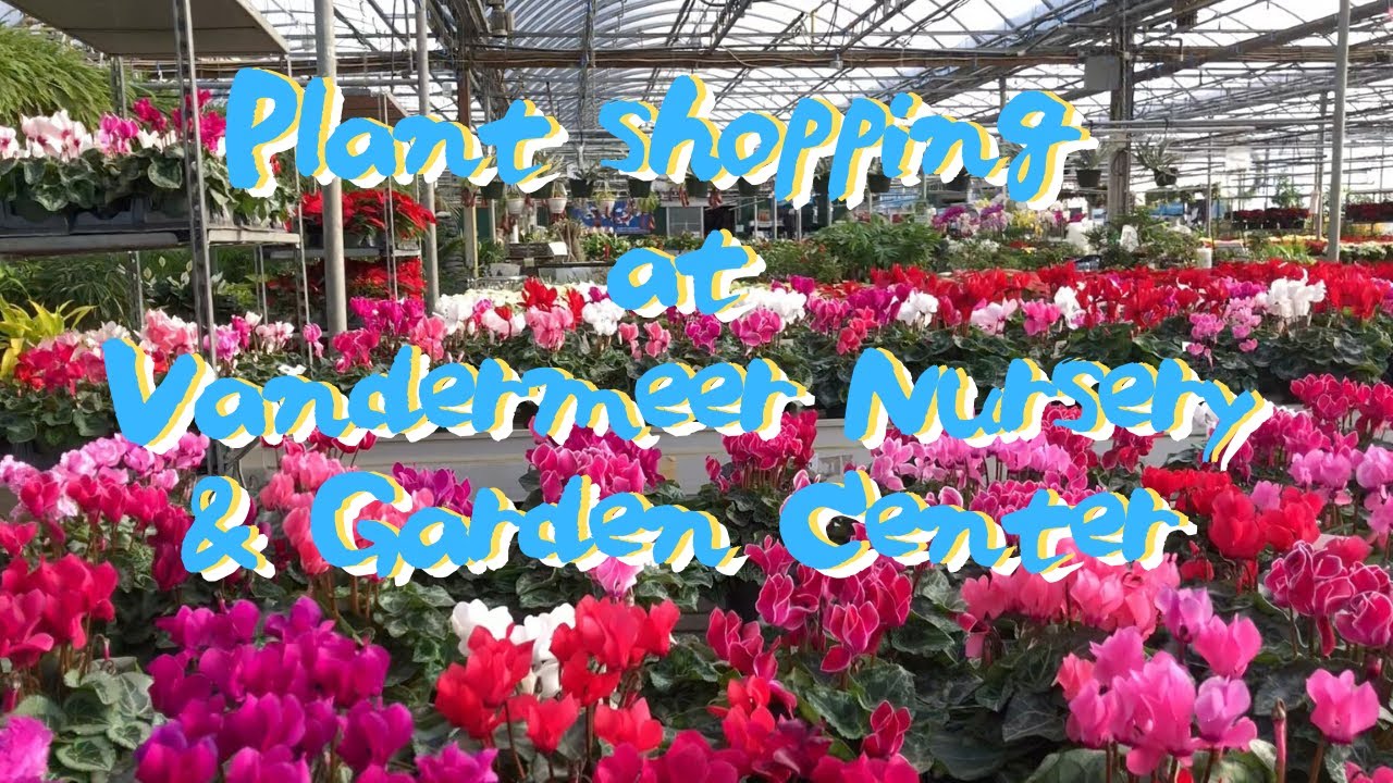 Plant shopping at Vandermeer Nursery & Garden Center in Ajax Canada カナダオンタリオの園芸店見せます！
