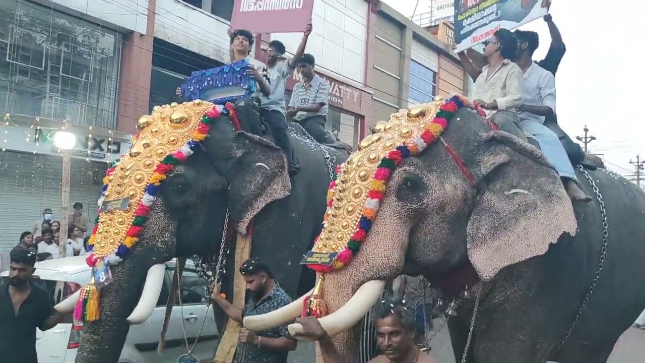കൂറ്റനാട് നേർച്ചയുടെ വിശേഷങ്ങൾ