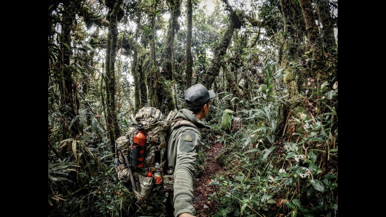 Trans Chamah-Ulu Sepat (CUS) Trek 2019