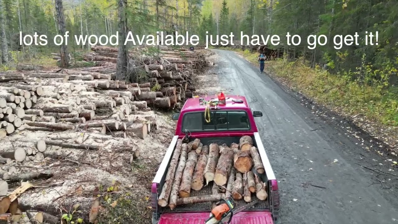 Gathering Firewood in Seward Alaska Winter Prep!