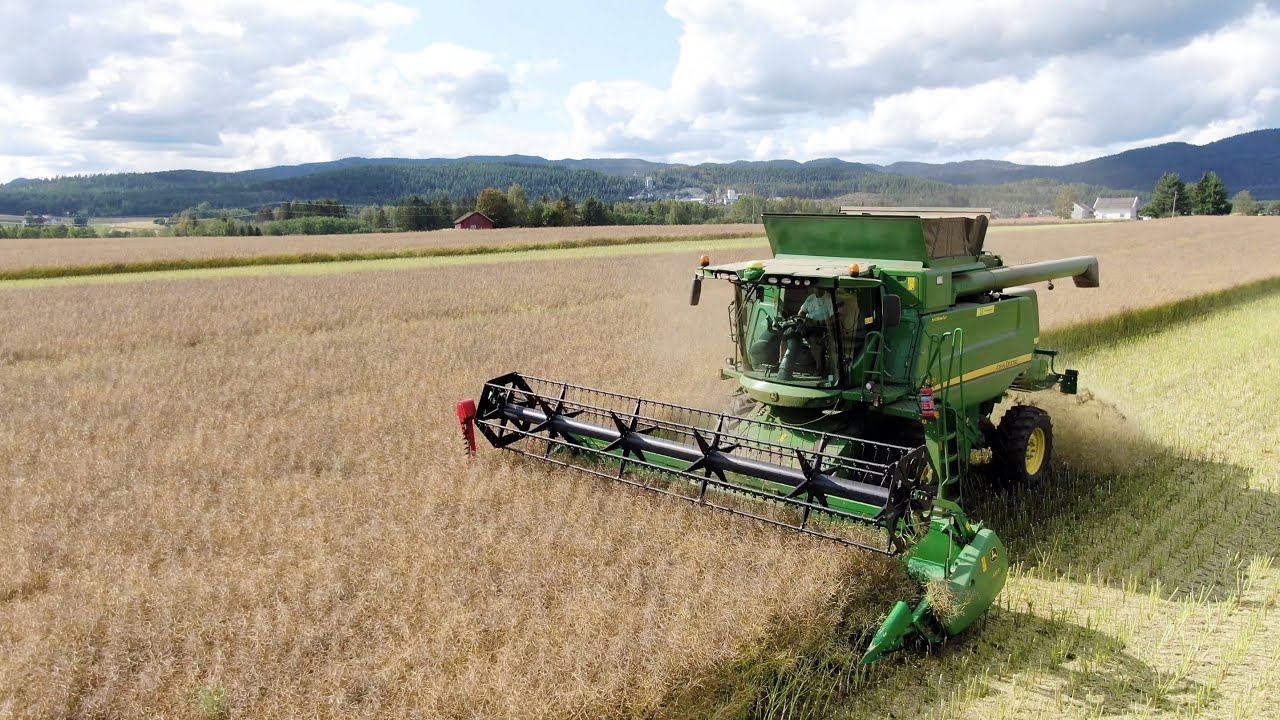 John Deere T560i harvesting canola - 4k - 2019