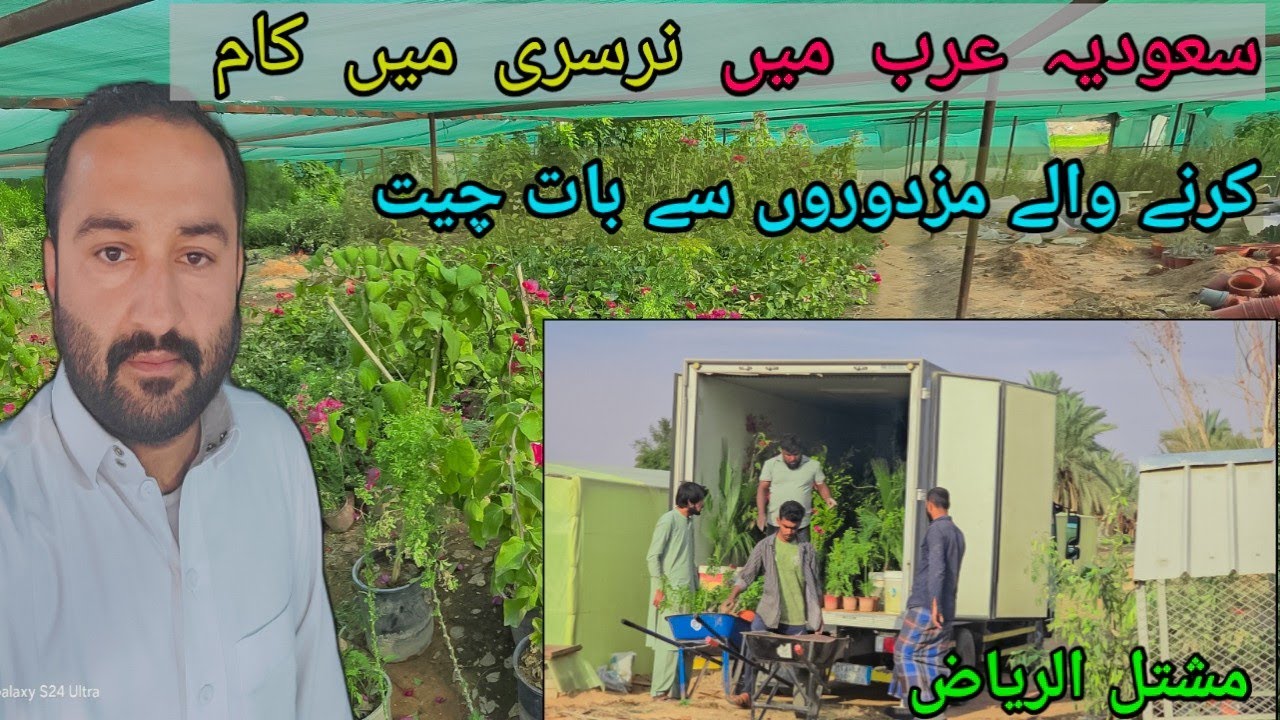 🌿 Exploring a Stunning Plant Nursery in Saudi Arabia | نرسری کا کام سعودیہ میں کیسا ہے | مشتل الرياض