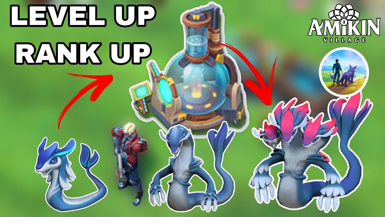 🔥🔥 AMIKIN VILLAGE -  HOW TO LEVEL UP AND RANK UP AMIKIN GUIED 🔥🔥 | 163