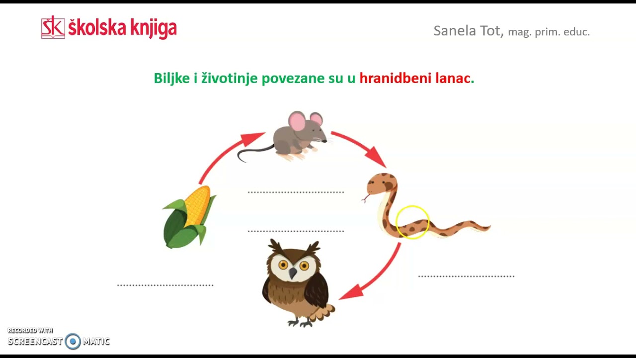 Međuovisnost biljaka i životinja, 3. r.