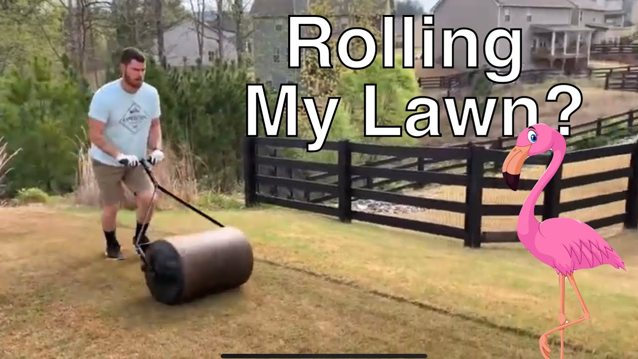Rolling my lawn