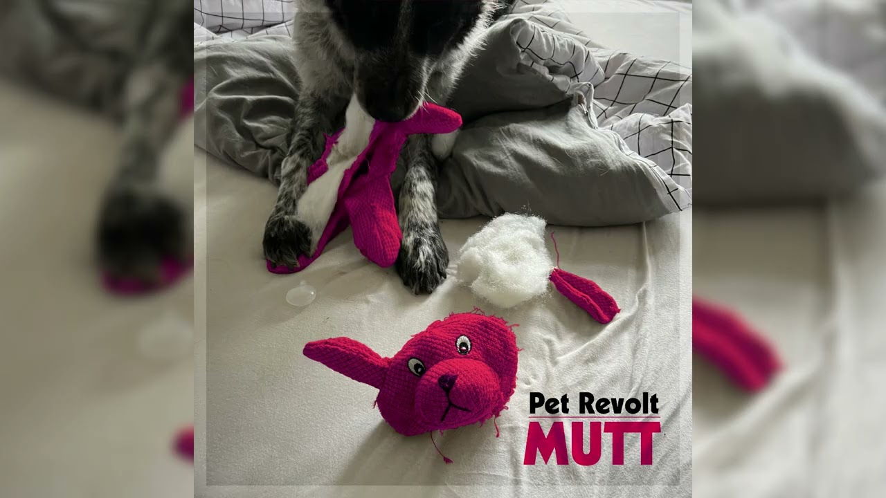 Pet Revolt - 
