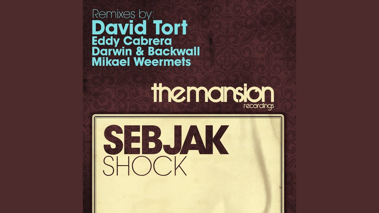 Shock (David Tort Remix)