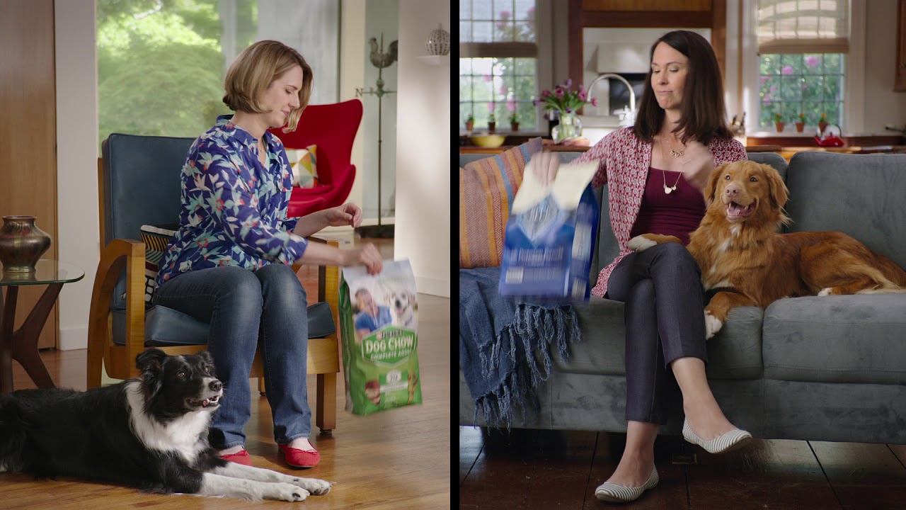 Blue Buffalo vs Dog Chow | Blue Buffalo Dog Food