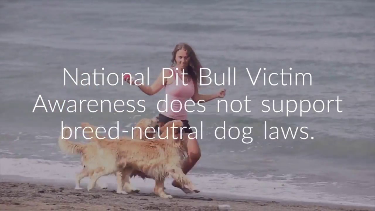 National Pit Bull Victim Awareness opposes dog breed neutral laws