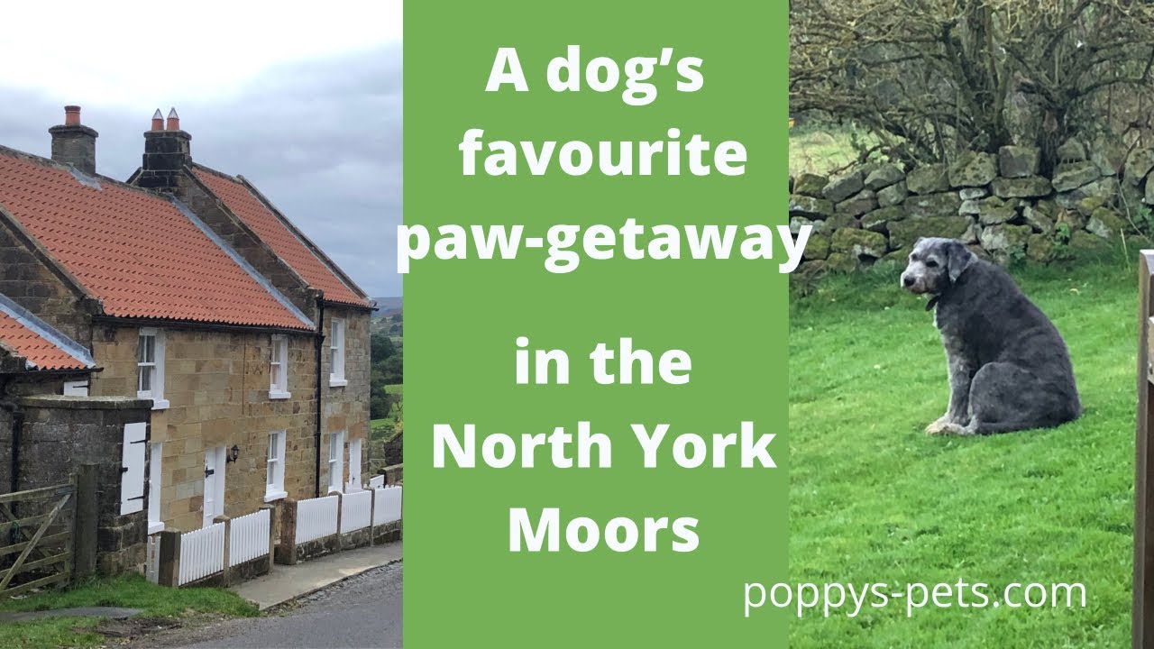Blakey View: Take a peek Inside a  Dog-Friendly Holiday Cottage by the North York Moors