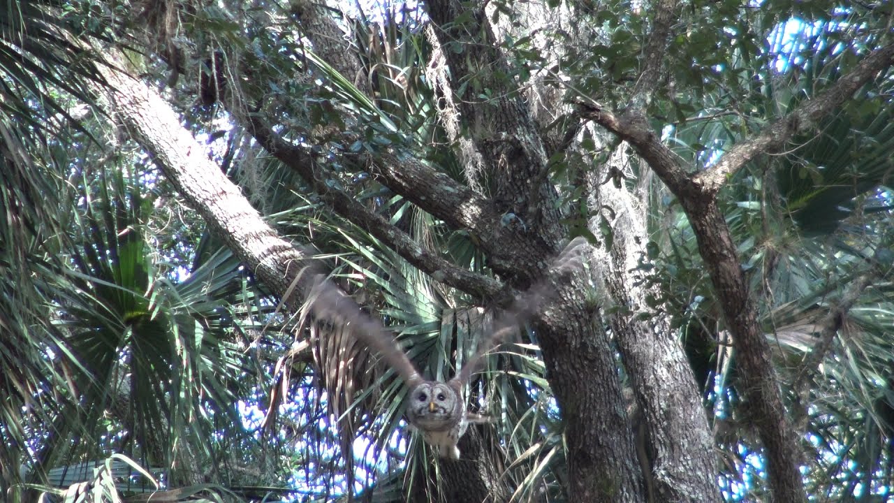 3 LAKES WILDLIFE MANAGEMENT AREA