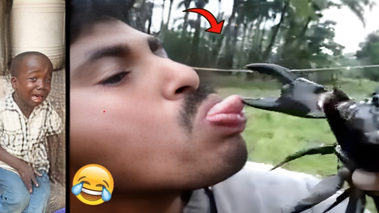 Crazy Funny Videos That Can Only Be Seen In Africa! (esp 3)