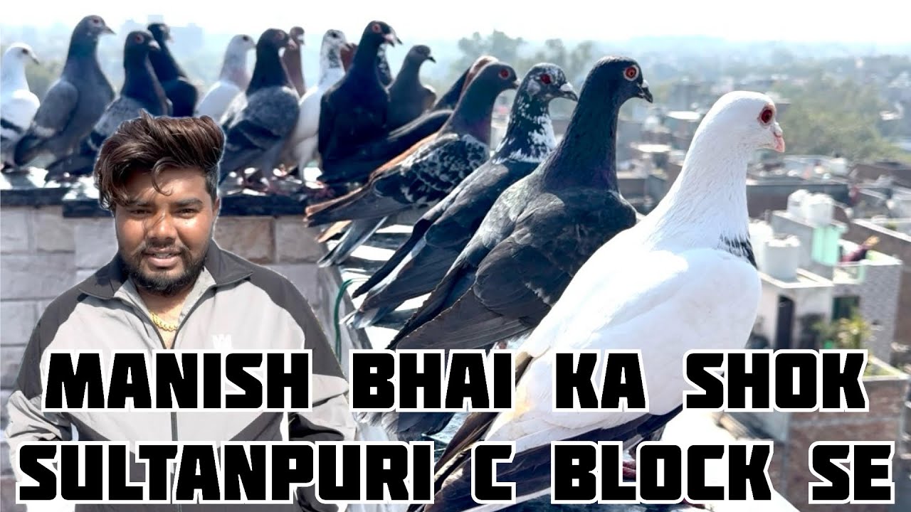 MANISH BHAI KA SHOK || SULTANPURI C BLOCK SE || 