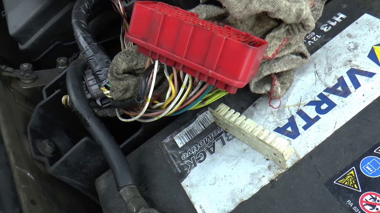Disco 2, TD5, Injector loom ECU oil check. (Big Lollopy Dog)!