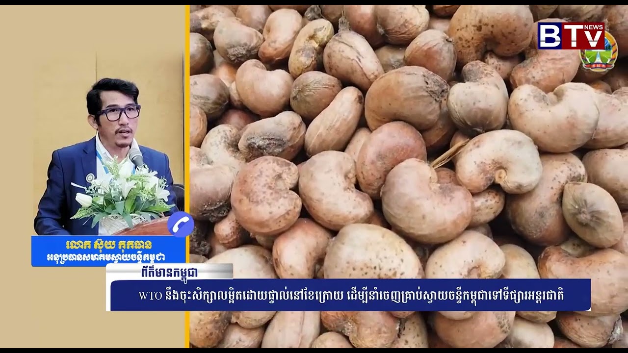 WTO នឹងចុះសិក្សាលម្អិតដោយផ្ទាល់នៅខែក្រោយ ដើម្បីនាំចេញគ្រាប់ស្វាយចន្ទីកម្ពុជាទៅទីផ្សារអន្តរជាតិ