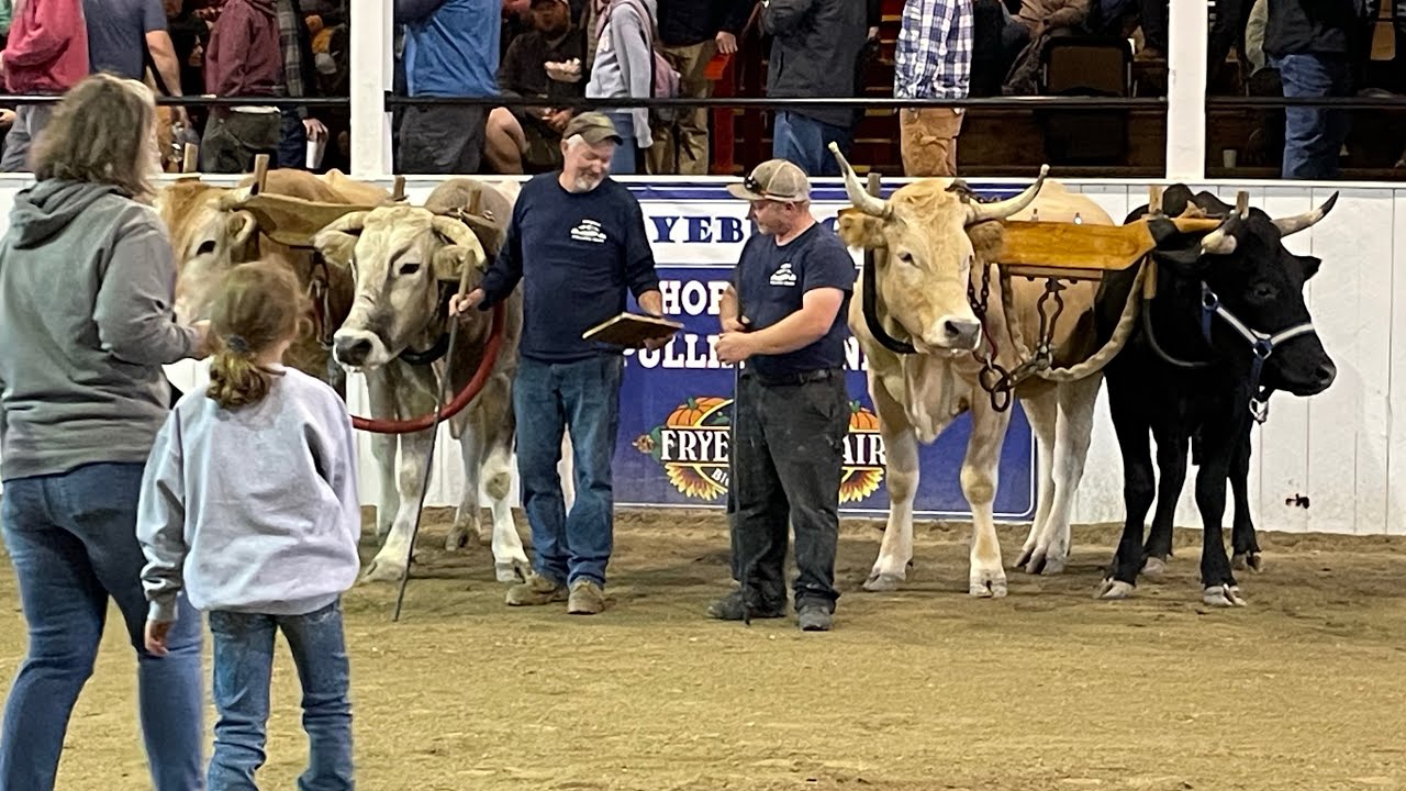 4 Ox Pull at Fryeburg Fair 2023