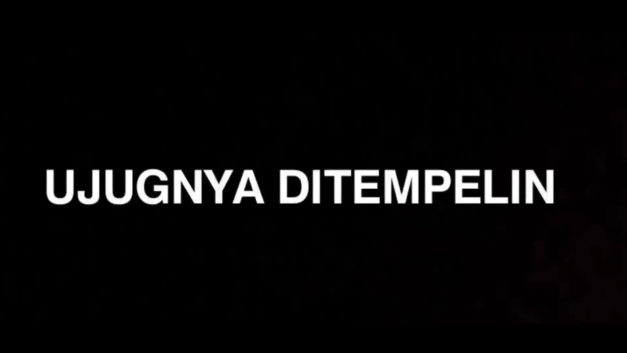 ASMR | 💤 Digerakin Ujungnya Ditempelin