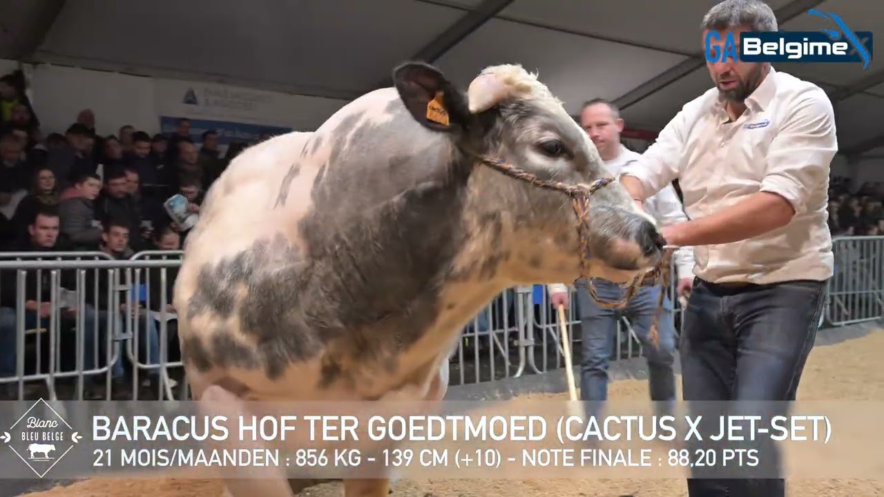 BARACUS HOF TER GOEDTMOED (2025)