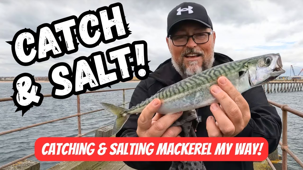 Lure Fishing For Mackerel and Salting For Bait - North East Sea Fishing - Blyth Pier 