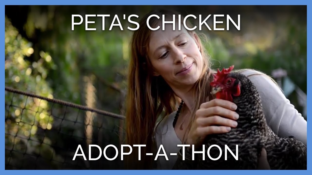 PETA Hosts Animal Place's 2014 Chicken Adopt-a-thon