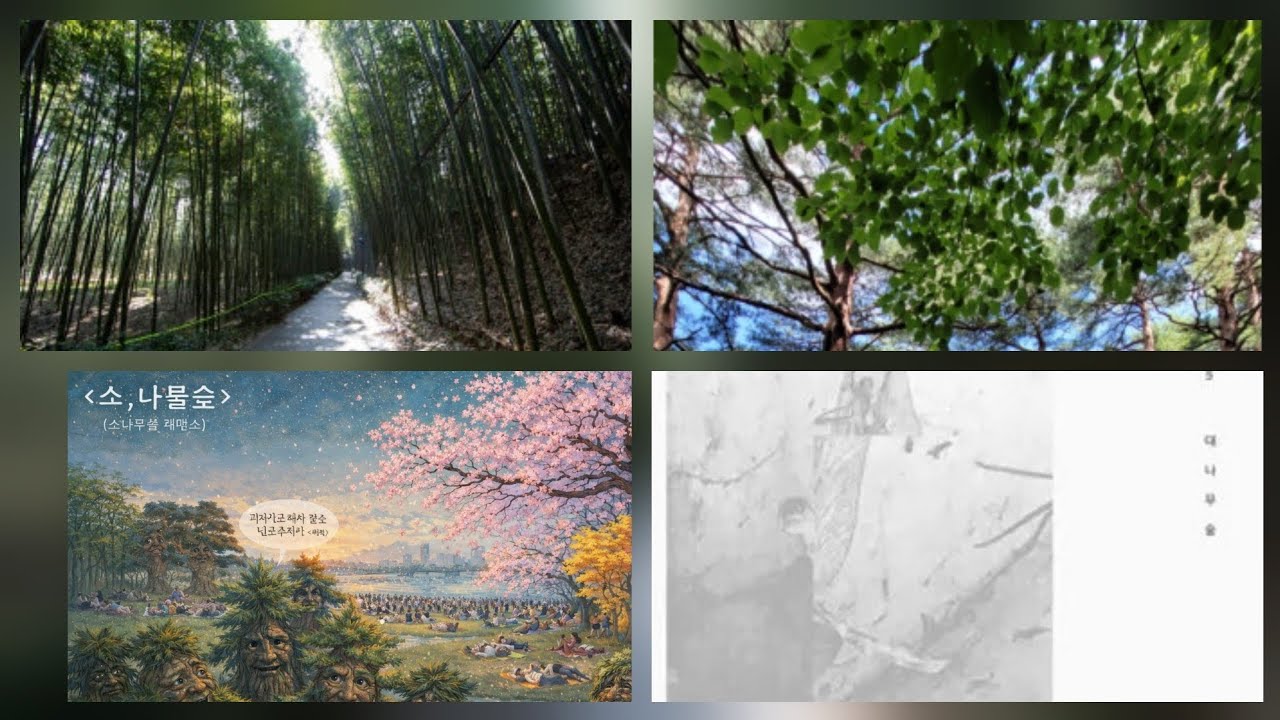《솔,나물숲▪︎(소나무숲) a pine forest,松林》#너드커넥션대나무숲 리메이크(🎋(대나무와),🌲(소나무))#숲최유리 #푸른달OOO