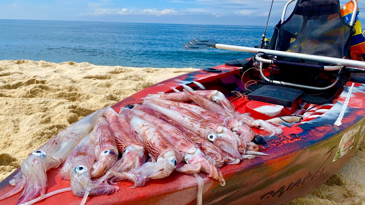FOI LOUCURA! Primeira vez pescando LULA no caiaque&hellip; olha o resultado