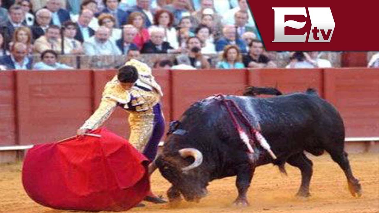 Vence plazo para prohibir corridas de toros en la Ciudad de M&eacute;xico / Jazm&iacute;n Jalil