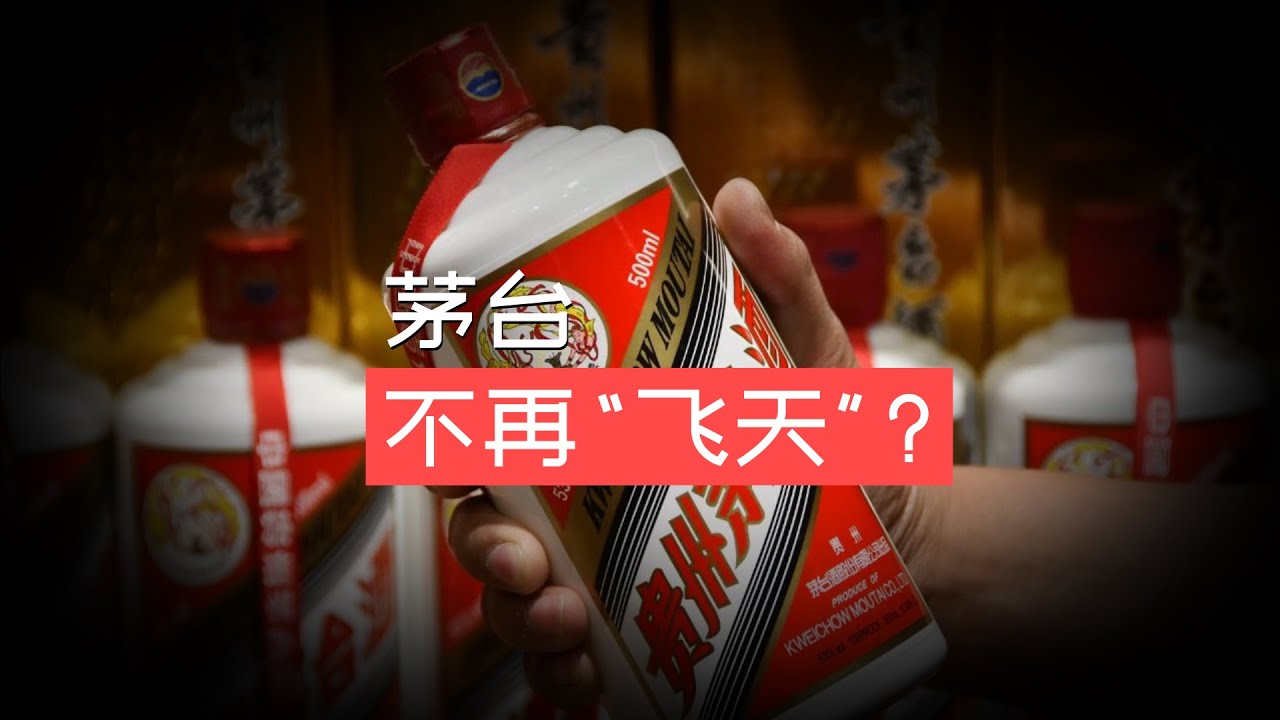 茅台不再飞天？#财经 #商业思维