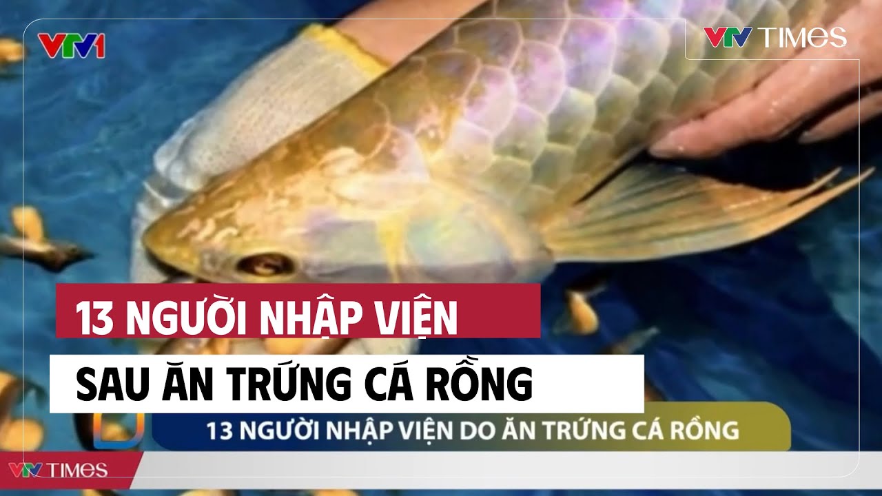 13 người nhập viện sau ăn trứng cá rồng | Cụm tin | VTV Times
