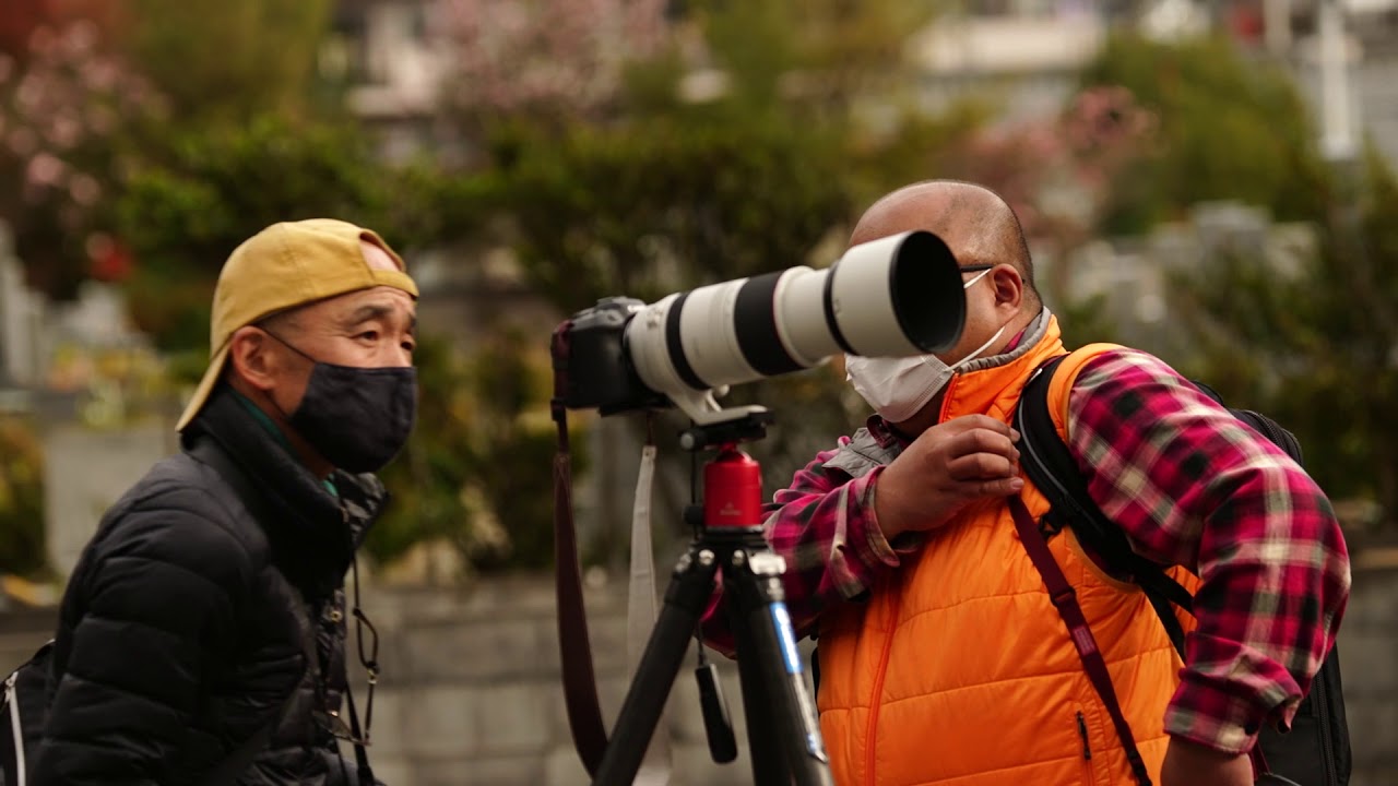 「風景写真フォト講座」紅葉の撮り方　大阪・池田の久安寺　山本学先生が詳しく指導