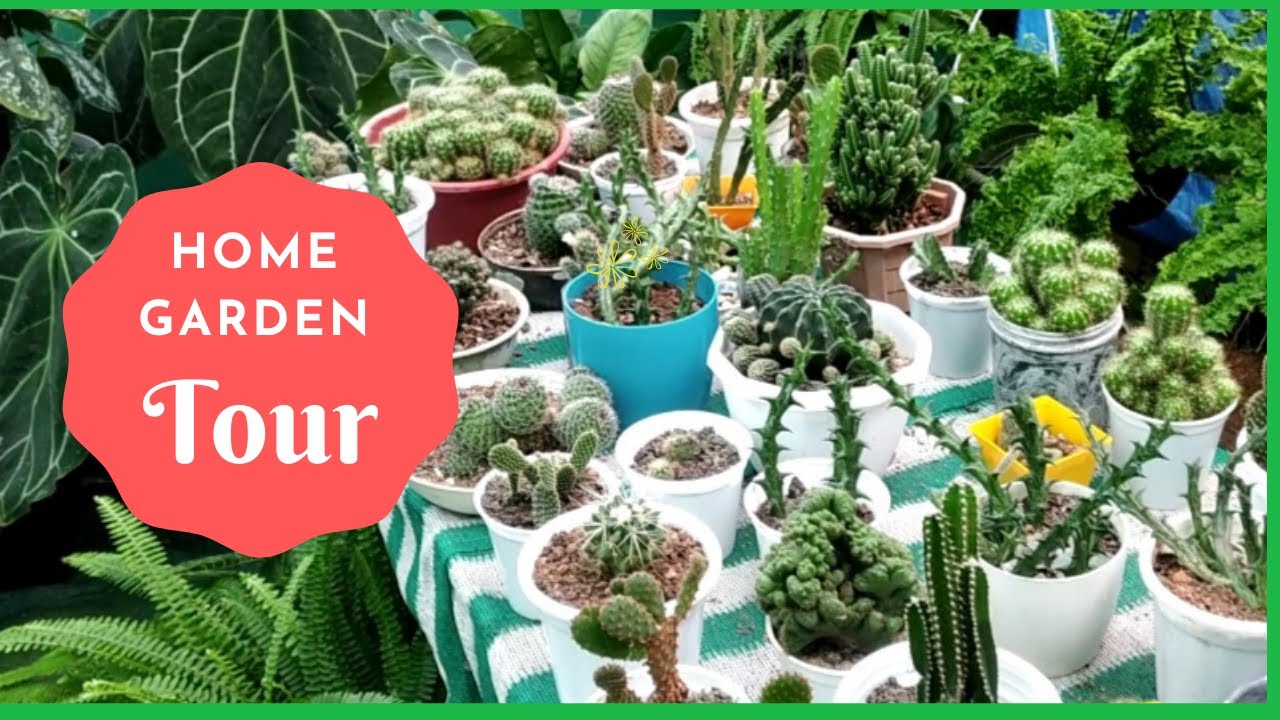 Home Garden Tour || Green Blossom || Malayalam || Auto Garden