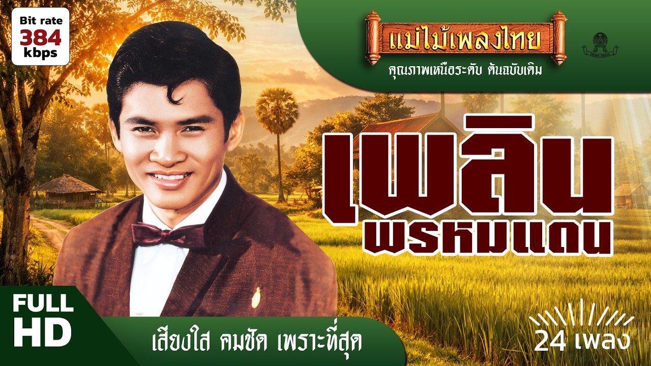 รวมเพลง เพลิน พรหมแดน ราชาเพลงพูด 24 เพลงฟังยาวๆ #แม่ไม้เพลงไทย #เพลงดังต้นฉบับ