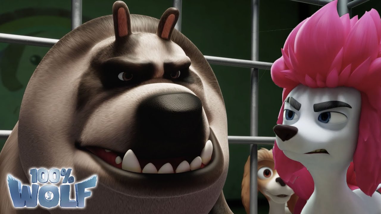 Die Herausforderung! 😤 | Lustigste Momente 😂😂😂 | 100% Wolf🐺🐩