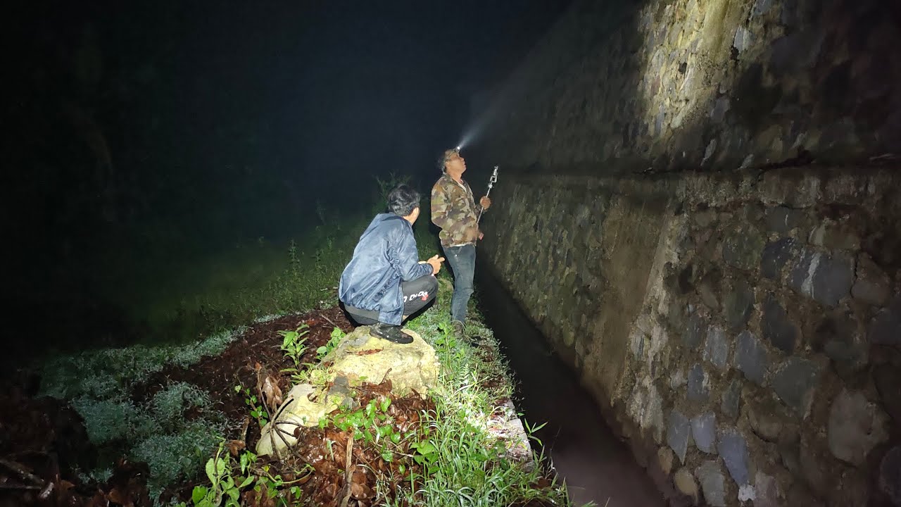 Sarang Demit Sehabis Hujan