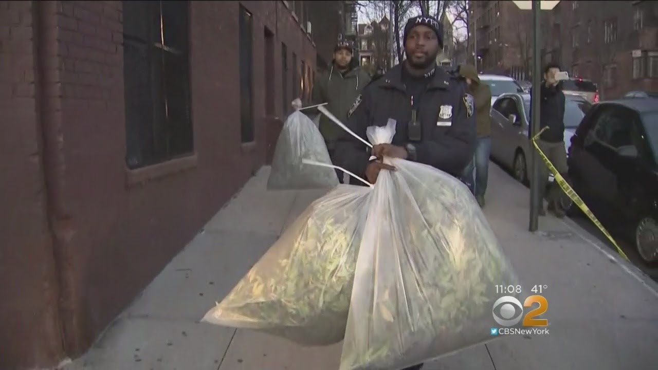 Investigators Uncover Marijuana Grow House In Bronx Apartment Building
