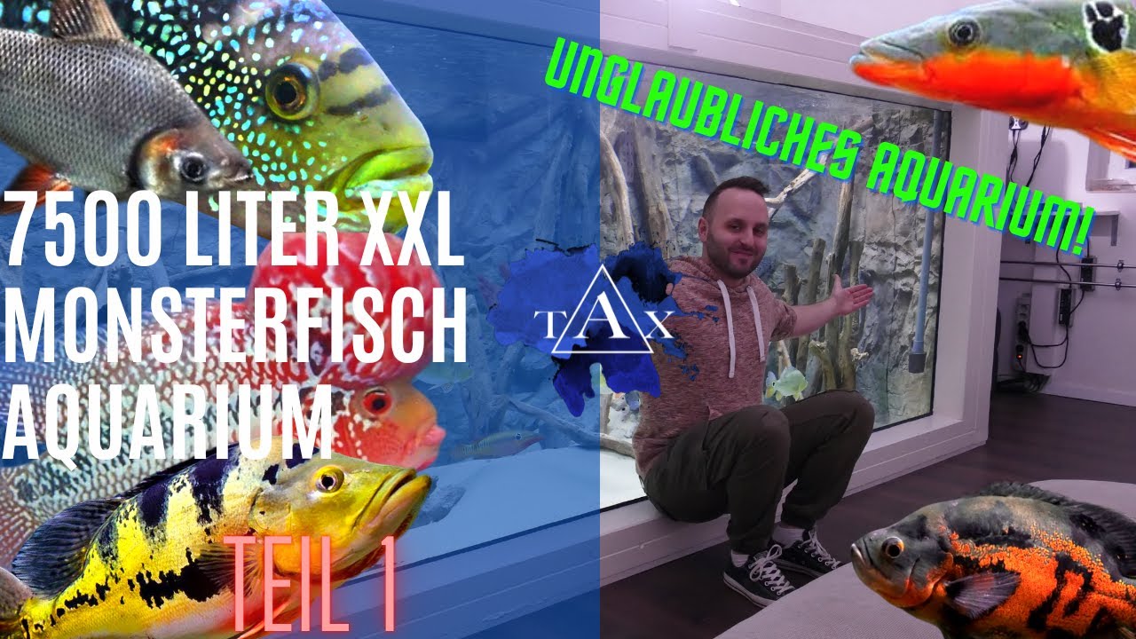 7500 Liter XXL Monsterfisch Aquarium I Teil 1 I TAX