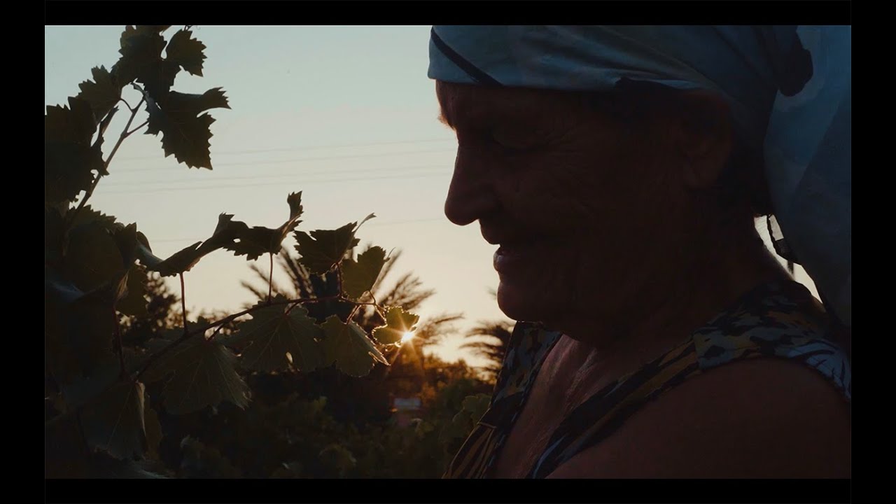 Guagnano Terre del Negroamaro | Spot 2021