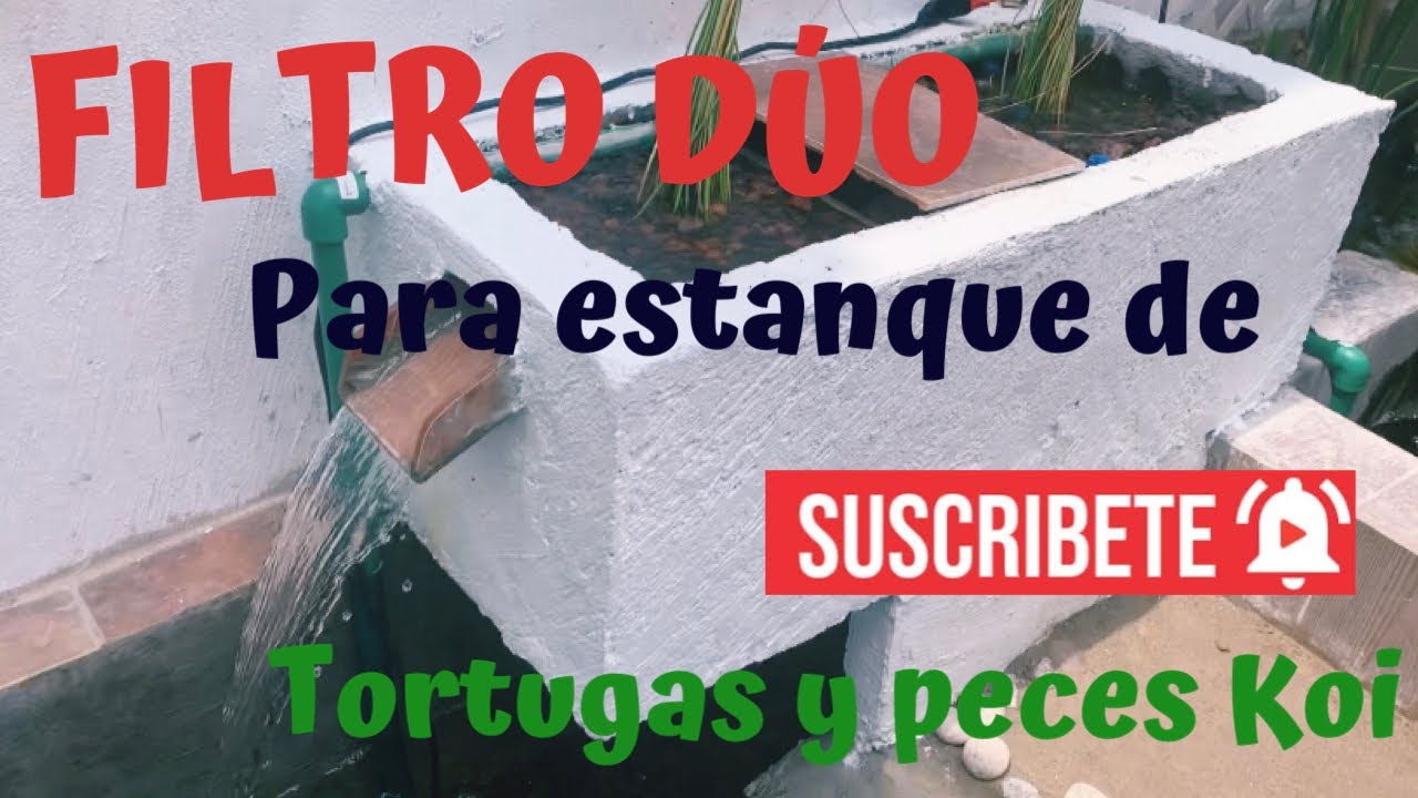 Cómo hacer un FILTRO CASERO DÚO para estanques de peces KOI y tortugas| Dos en uno!