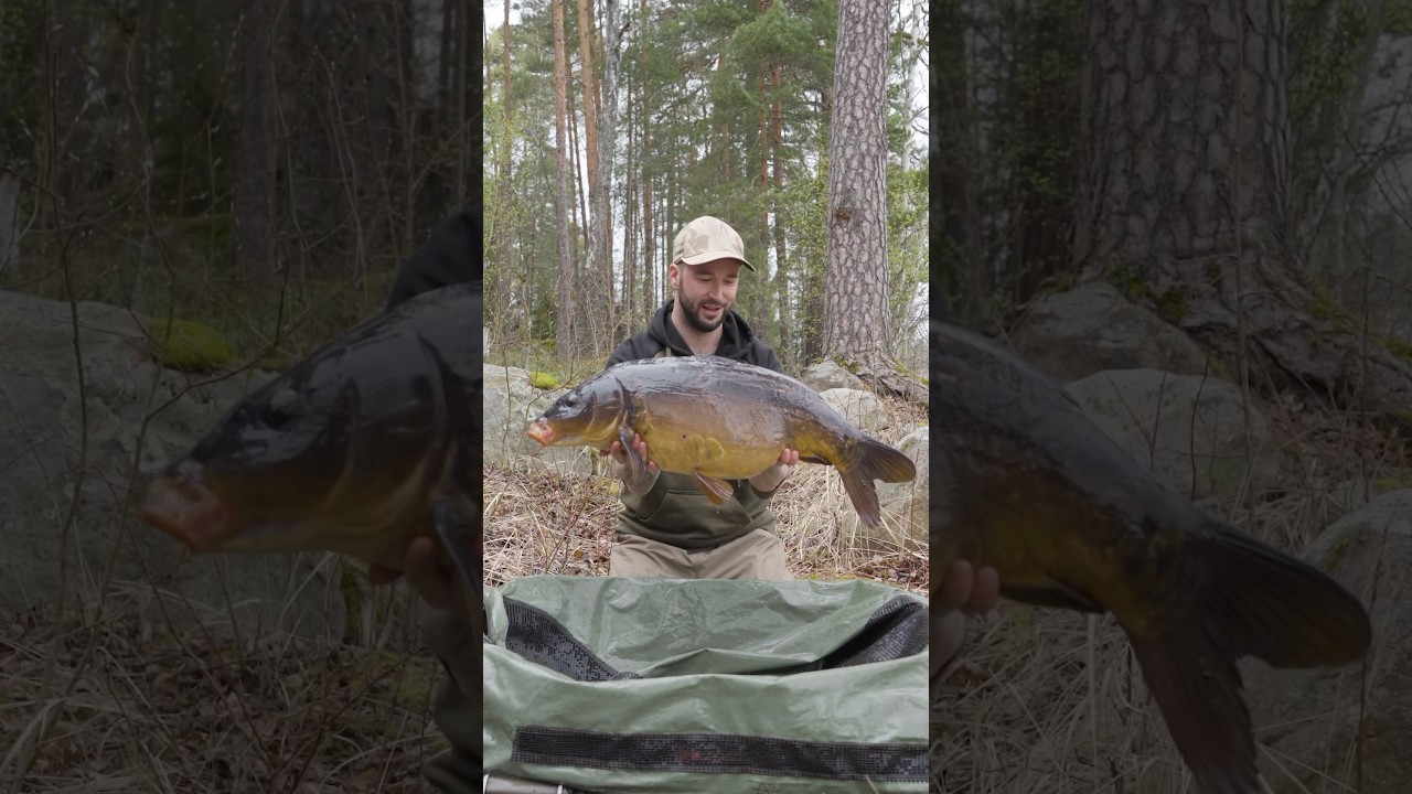 Tjocka v&aring;rkarpar &auml;r livet!