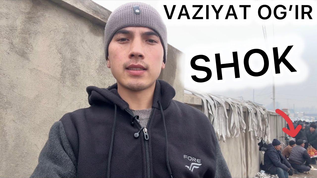 VAZIYAT OG‘IR 😱 QO‘Y BOZORDA ODAM YO‘Q, NARXLAR TUSHYAPTI | SHOHIDON