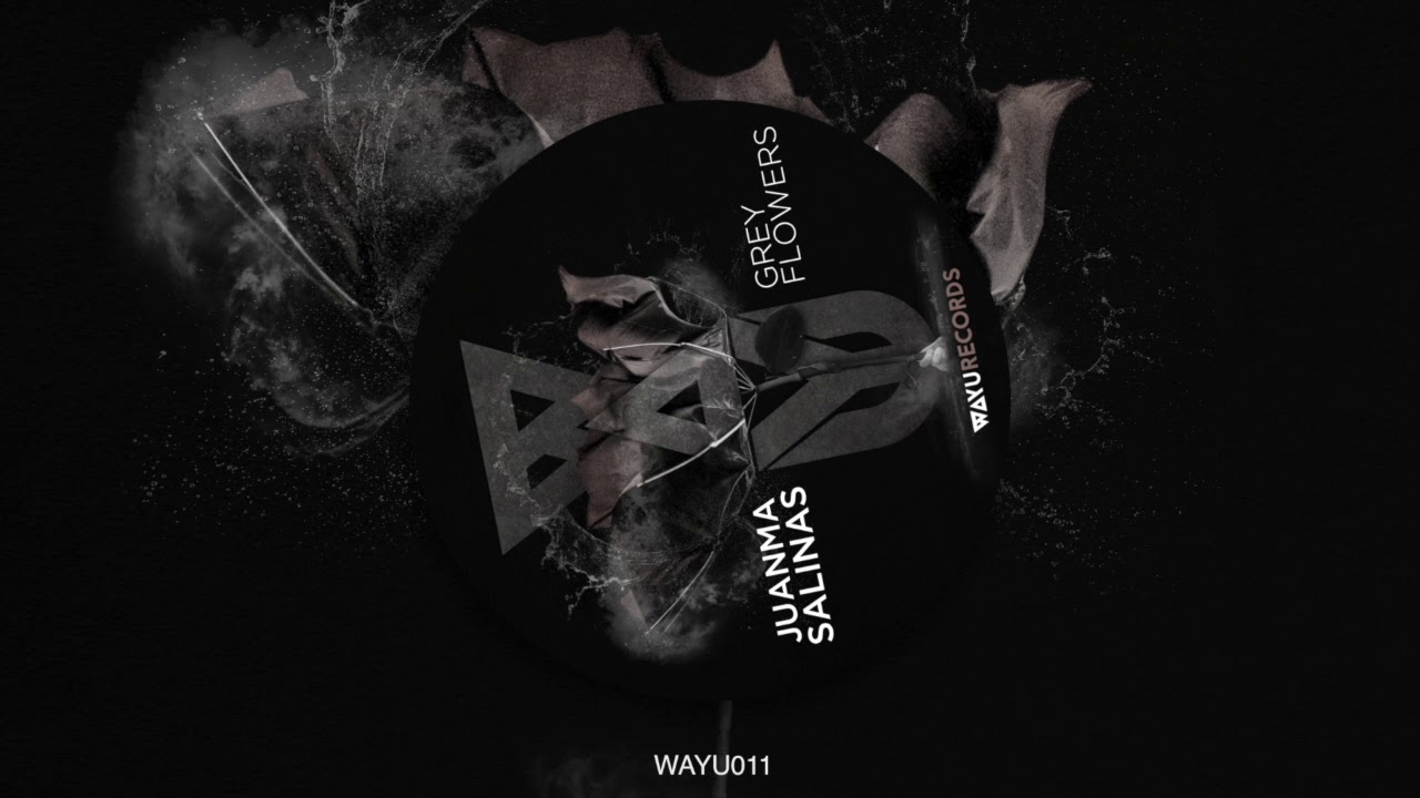 Juanma Salinas - Green Lake (Original Mix)