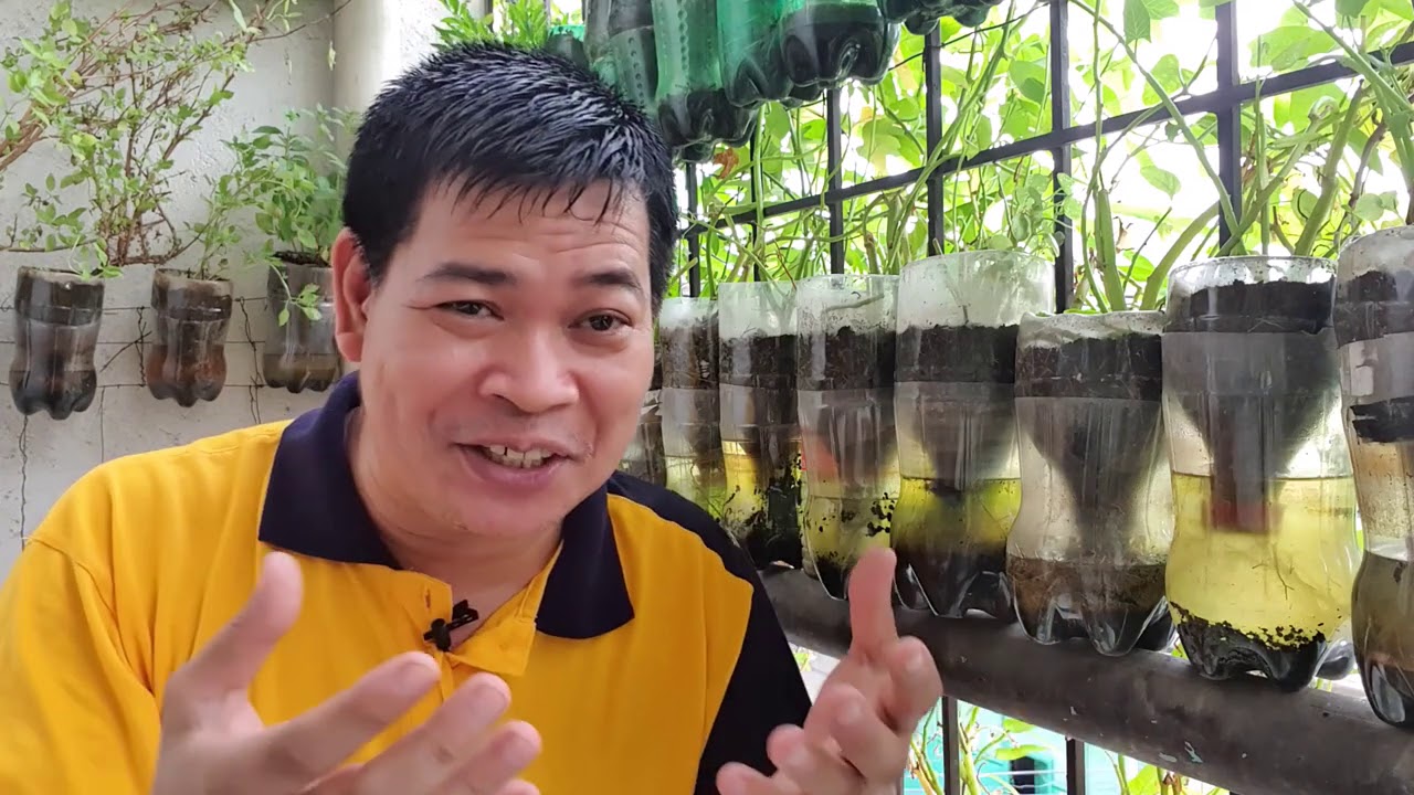 PART 1- SOYA THE WONDER CROP: PLANTING TO HARVEST (with ENG sub)