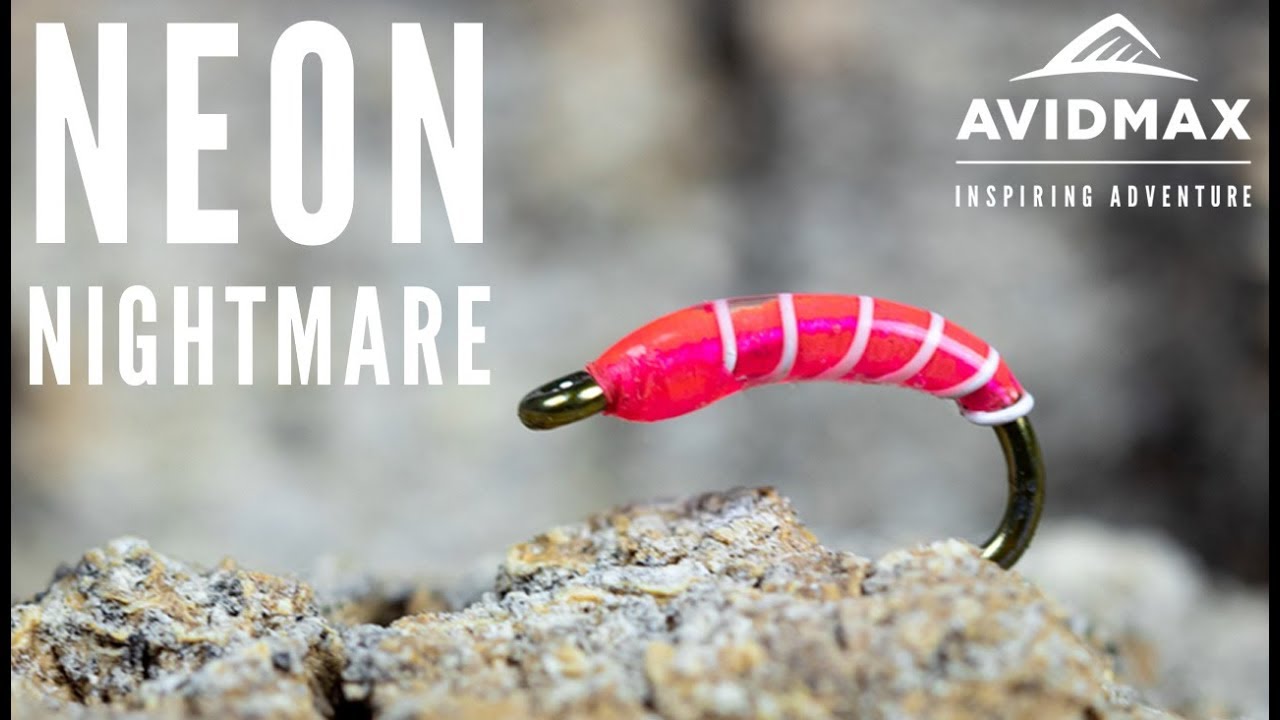 How to tie the Neon Nightmare | AvidMax Fly Tying Tuesday Tutorials