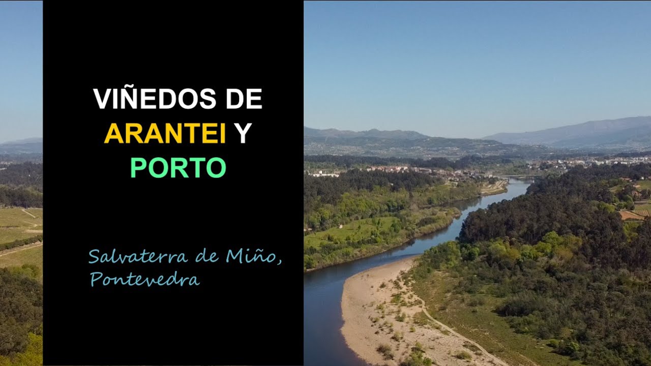 Arantei y Porto, Salvaterra de Miño (DJI Mavic Mini cinematic)