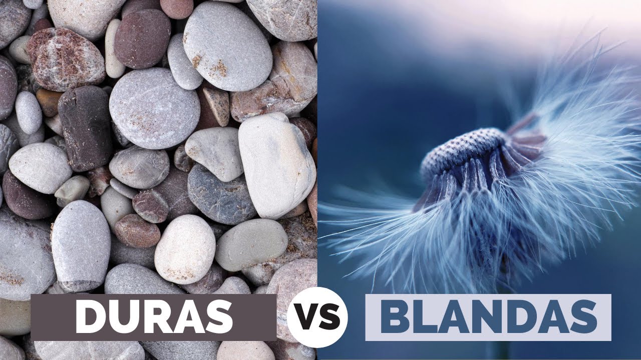 Habilidades Blandas vs Habilidades Duras [10 Diferencias]