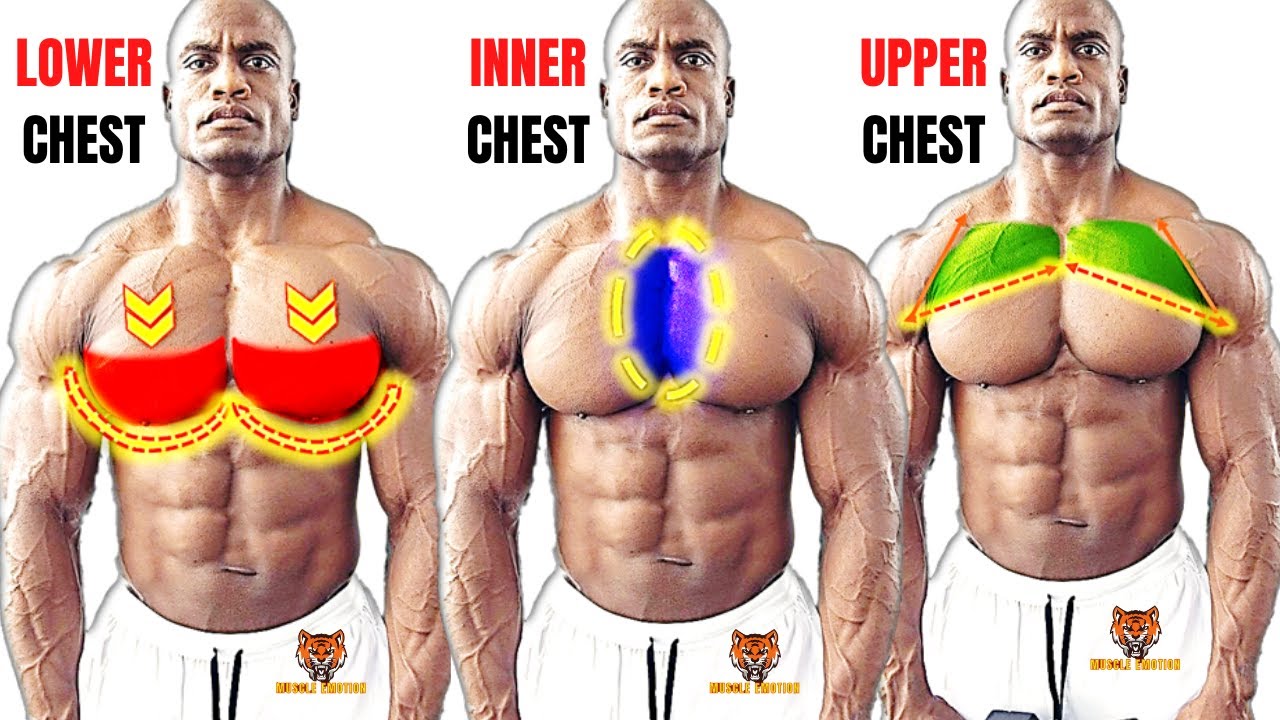 TOP 5 INNER ,LOWER AND UPPER CHEST WORKOUT AT GYM / Meilleurs exs Musculation poitrine .