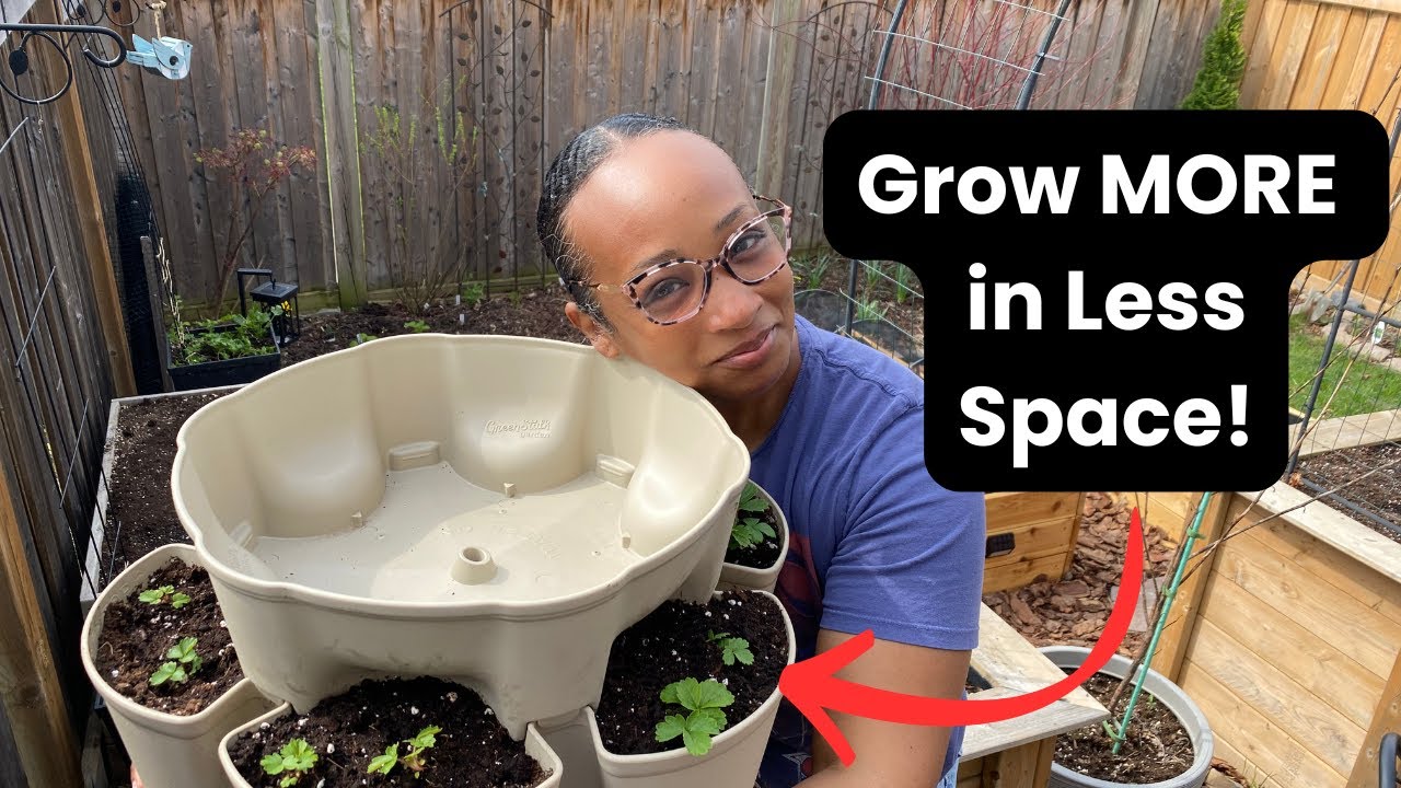 Grow MORE in LESS Space! How I Plant My 5-Tier GreenStalk Vertical Garden